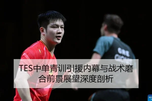 TES中单青训引援内幕与战术磨合前景展望深度剖析